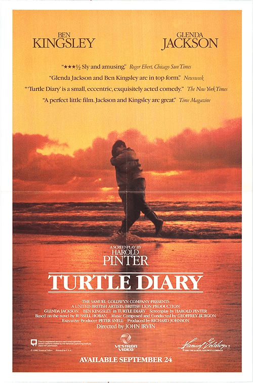 turtle diary 1