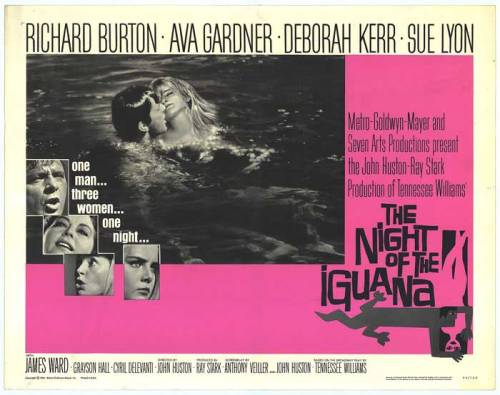night of the iguana 2