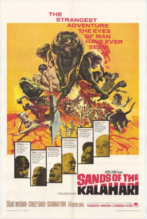 sands of the kalahari