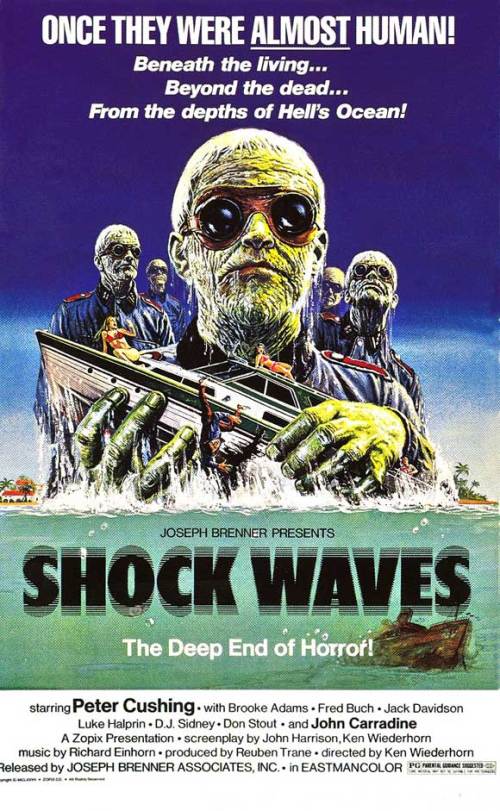 shock waves 3