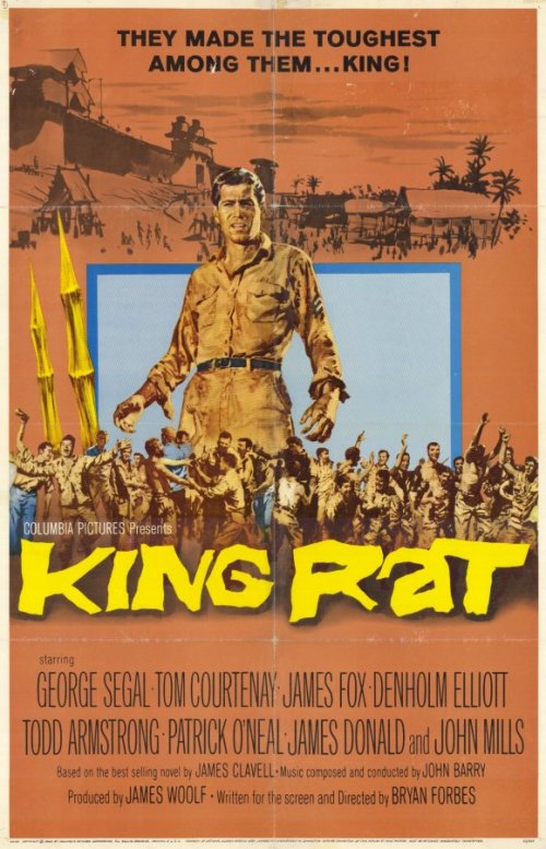 king rat 1