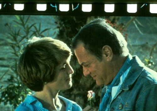 it rained all night 1