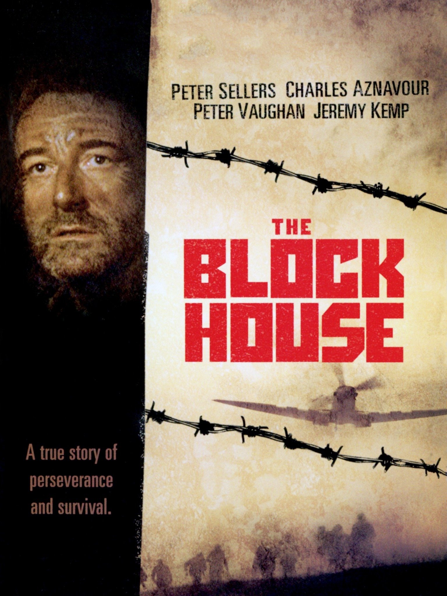 blockhouse2
